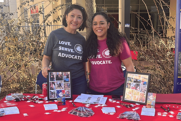 Community Partners at Volunteer Fair